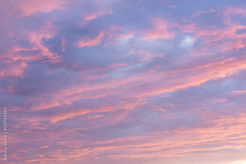 Dramatic sunset sky background, twilight pink and purple colors