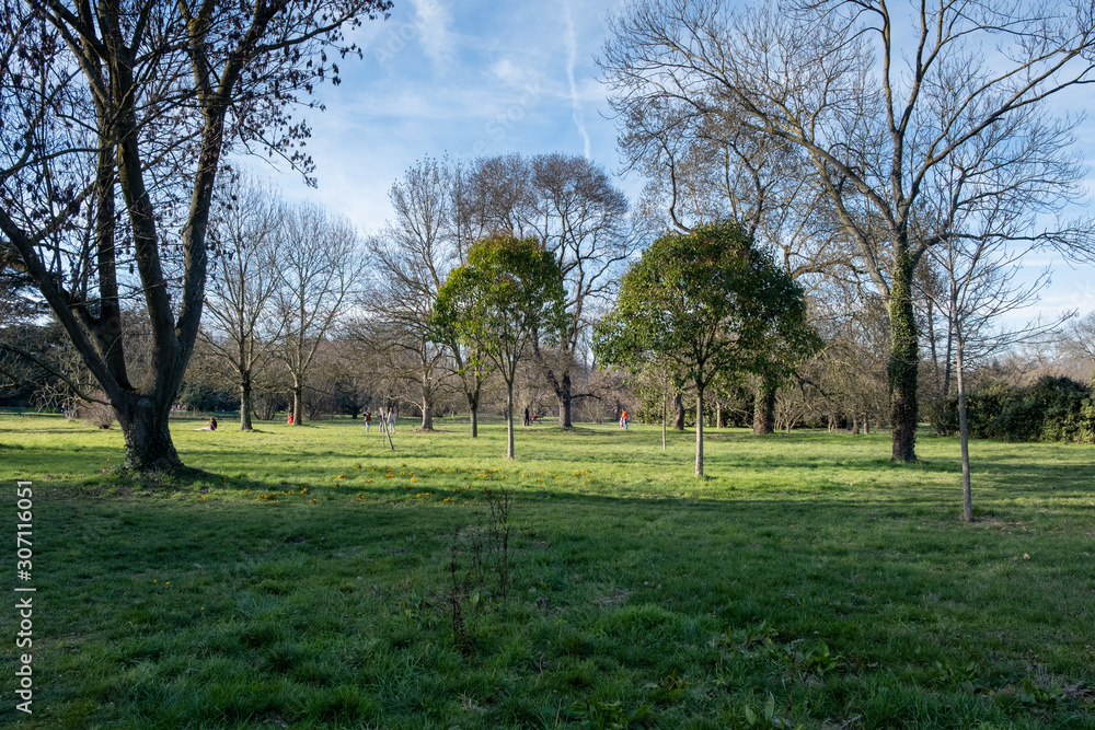 Fototapeta premium Green pakr and grass at Vincennes, France