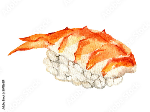 Nigiri sushi with with tiger shrimp, isolated on white background, watercolor illustration