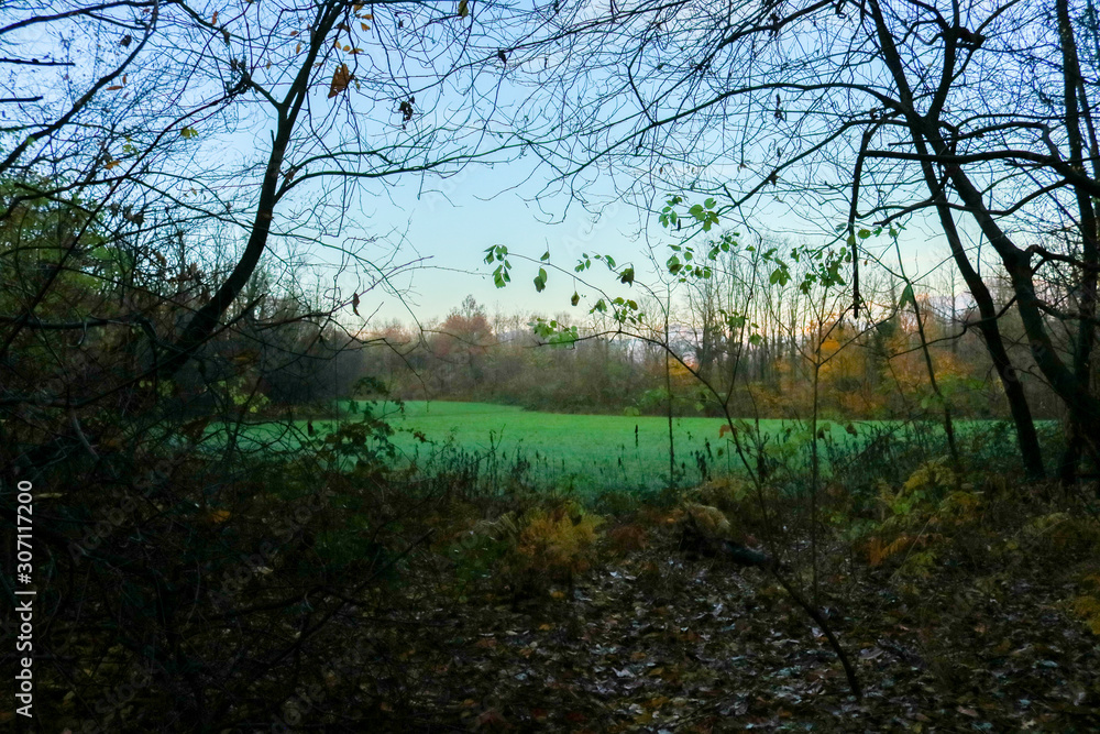 Un prato verde e le differenti sfumature di colori del bosco in autunno, stagioni e natura Un prato verde e le differenti sfumature di colori del bosco in autunno, stagioni e natura