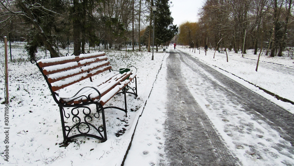frozen park in winter
