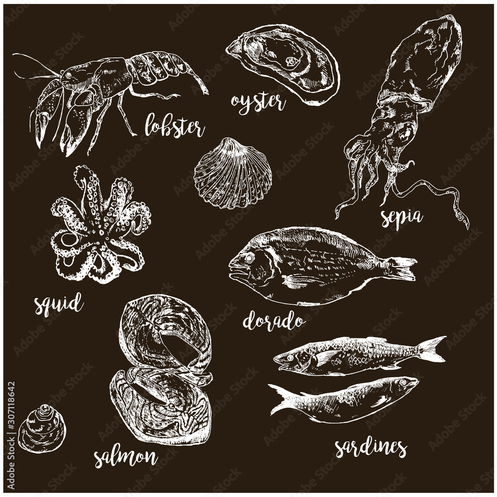 Fish and sea food hand drawnwhite chalk on blackboard vector illustration. Fish and sea food market names and menu restaurant or cafe. Fish seafood sketch. Fish and sea food hand drawnwhite chalk on blackboard vector illustration. Fish and sea food market names and menu restaurant or cafe. Fish seafood sketch.