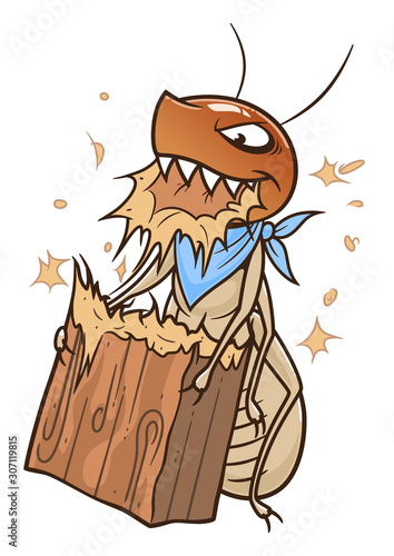 Termite eating piece of wood