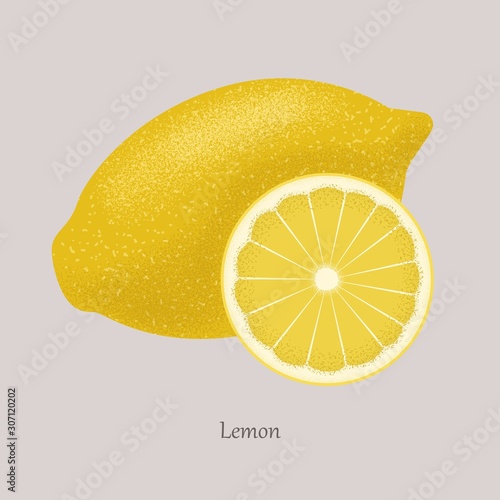 Yellow Fresh lemon and lemon slice, icon isolated on grey background. Illustration fruit Lemon. Vector citrus the whole and cut into pieces