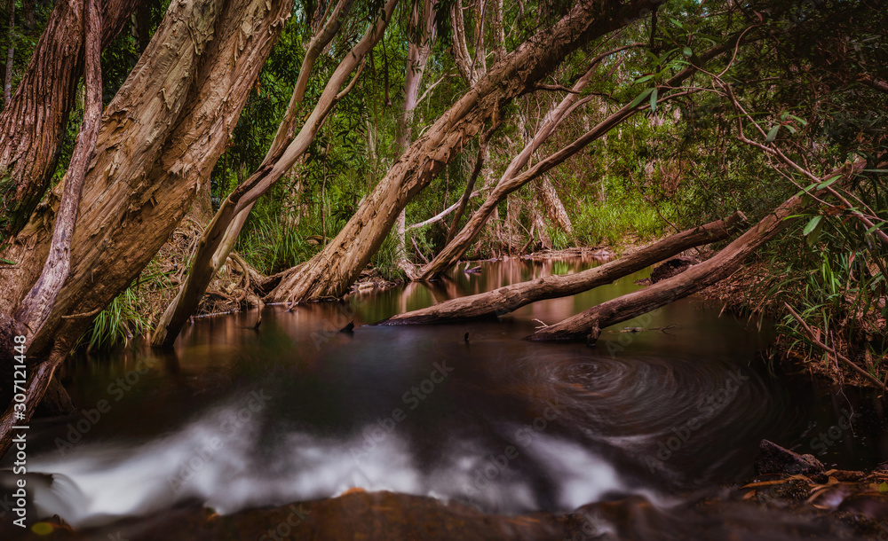 A magic creek with a whirlpool surrounded by trees and bushes in the tropical forest. Davies Creek National Park and Dinden National Park. Landscape Photography. A magic creek with a whirlpool surrounded by trees and bushes in the tropical forest. Davies Creek National Park and Dinden National Park. Landscape Photography.