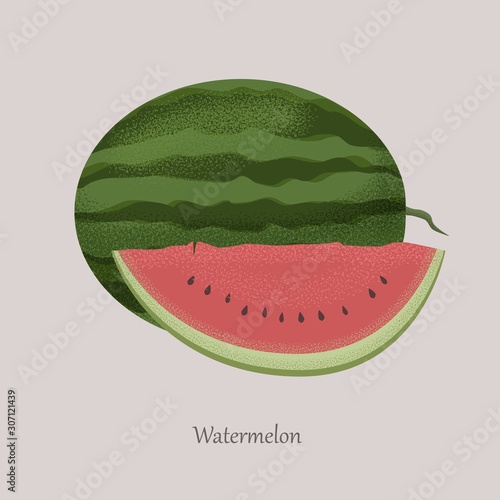 Summer Watermelon Slice. Whole and cut in half watermelon. Vector illustration on a gray background.