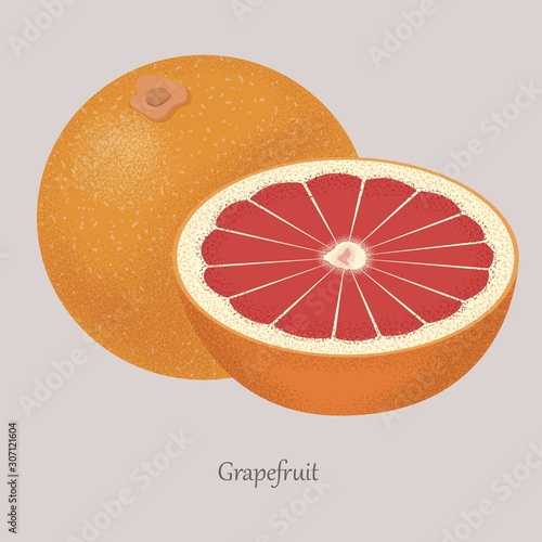 Fresh grapefruit and grapefruit slice, icon isolated on grey background. Vector citrus the whole and cut into pieces.