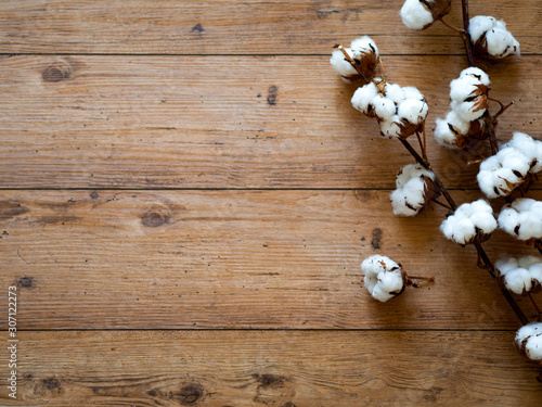 Cotton branch lying on an old wooden background - flat lay view
