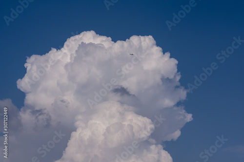a large white mushroom-shaped cumulus cloud against a blue sky Full frame zoom © ogikk