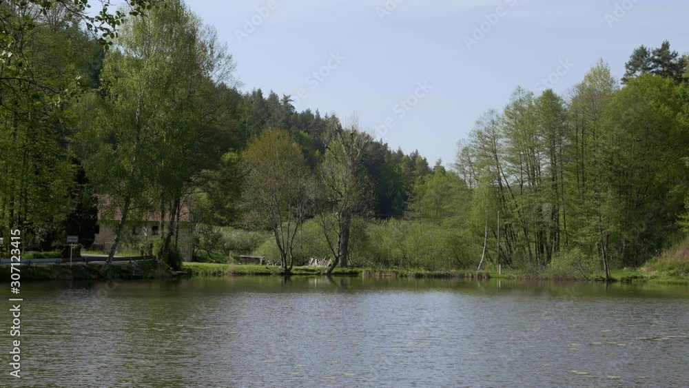 Village pond with tree alley on shore. Lake surface in the wind with small waves. Idyllic village sunny atmosphere, background under advertising packshot. Bank with road. Static day landscape Village pond with tree alley on shore. Lake surface in the wind with small waves. Idyllic village sunny atmosphere, background under advertising packshot. Bank with road. Static day landscape