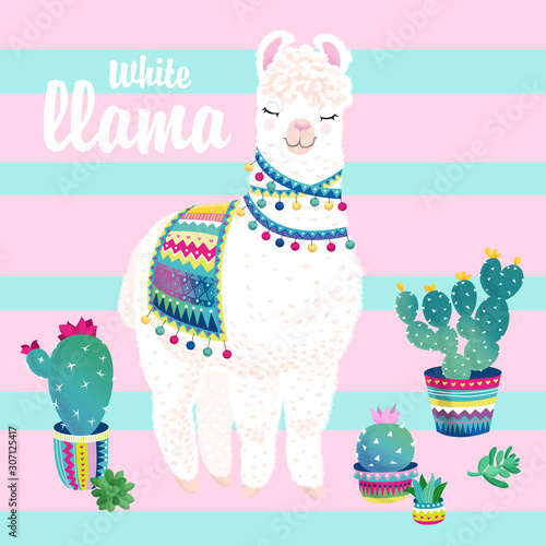 white llama cacti