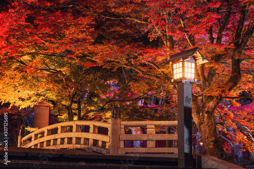 土津神社の紅葉ライトアップ