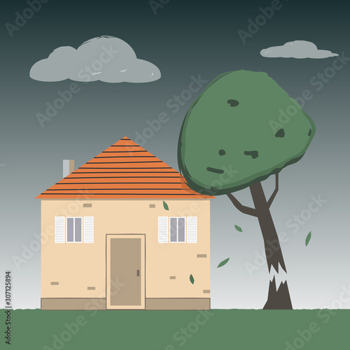 Broken Tree Falls on the House