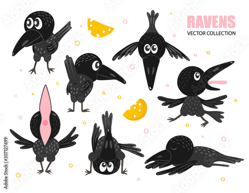 Set of funny crows in different poses. Black raven with cheese. Vector collection for your design.