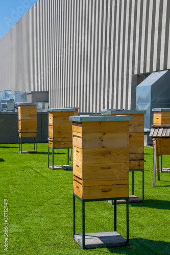 Hives in apiary on the roof of modern building in the downtown