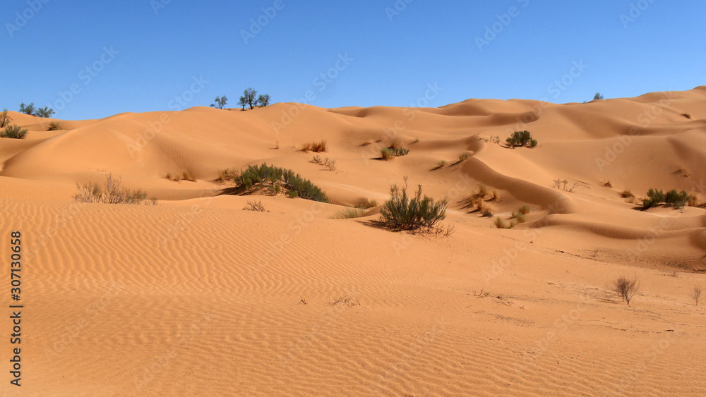 Sahara deserto e dune