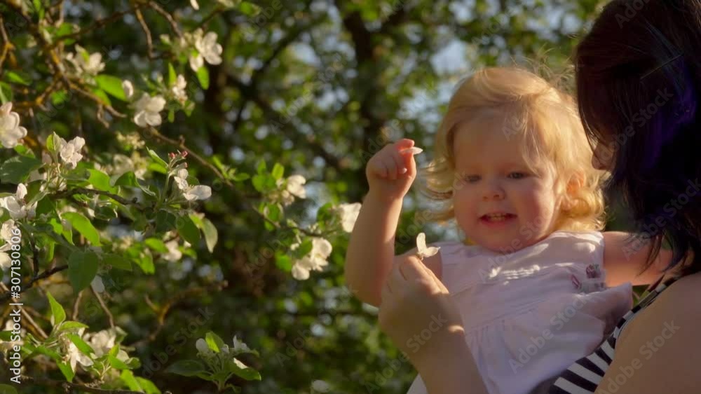 Mom with a little blonde daughter in her arms sniffing flowers on the apple tree in the garden Mom with a little blonde daughter in her arms sniffing flowers on the apple tree in the garden