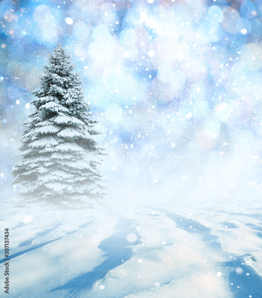 Christmas landscape with snow and fir trees.