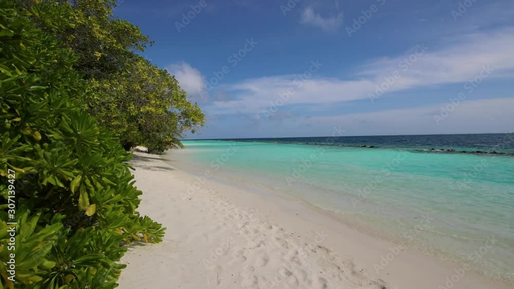 Slow pass around exotic greenery in Maldives along snow-white sandy beach. You can see a similar view in the Dominican Republic, the Bahamas, Tahiti or Bora Bora. Shot in motion, trees around. Slow pass around exotic greenery in Maldives along snow-white sandy beach. You can see a similar view in the Dominican Republic, the Bahamas, Tahiti or Bora Bora. Shot in motion, trees around.