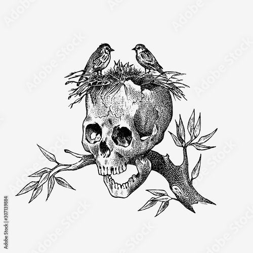 Human skull on a branch with birds. Retro old school sketch for tattoo in vintage style. Monochrome Symbol of the Day of the Dead. Hand drawn engraved retro badge for t-shirt, banner, poster and logo.