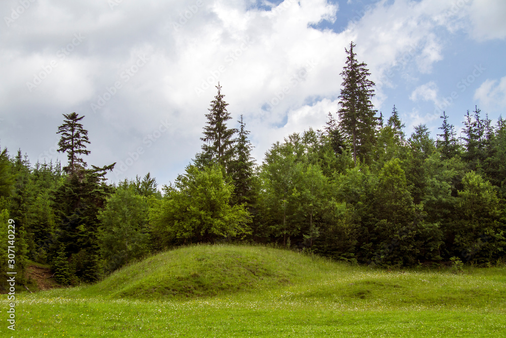 Fototapeta premium Carpathian mountains landscape in summer