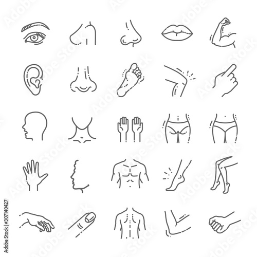 human body parts icons plastic face surgery, medical vector icons