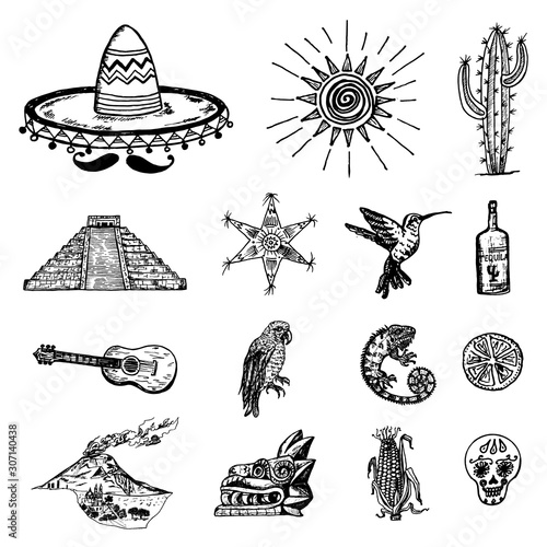 Mexico set in vintage style. Traditional national costume on a woman, animals, plants and musical instruments. Engraved hand drawn sketch.