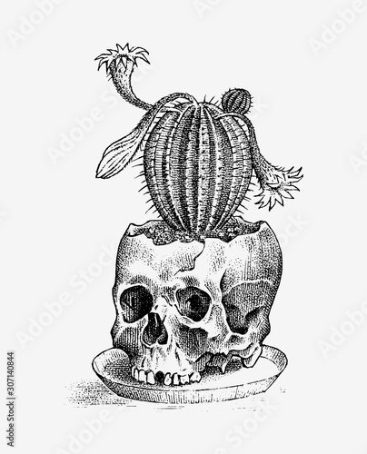 Human skull with cactus. Retro old school sketch for tattoo in vintage style. Monochrome Symbol. Hand drawn engraved retro badge for t-shirt, banner, poster and logo.