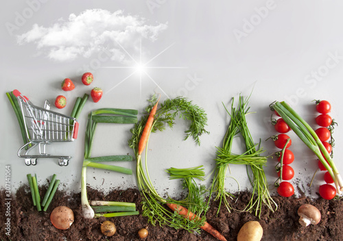 Vegan shopping