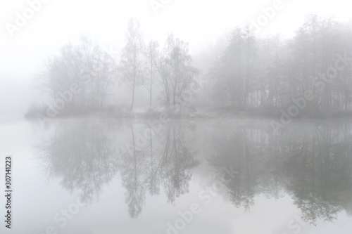 a misty morning in the field at Ardooie, Belgium. © krist