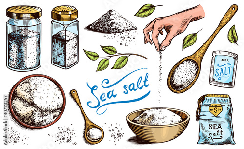 Sea salt set. Glass bottles, packaging and and leaves, wooden spoons, powdered powder, spice in the hand. Vintage background poster. Engraved hand drawn sketch. 