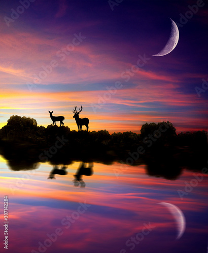silhouette of deers at sunset