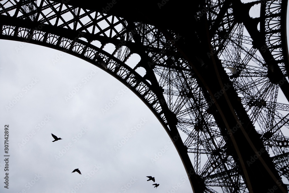 Pigeons flying under Eiffel tower
