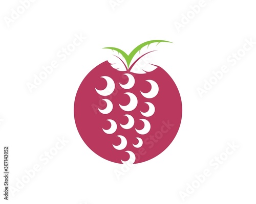 Grape fruits with leaf icon vector illustrtion