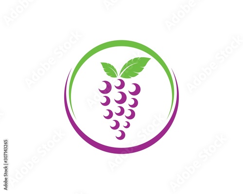 Grape fruits with leaf icon vector illustrtion