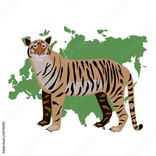 tiger On a vector white background map