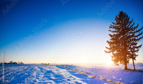 Attractive winter landscape and covered snow trees. Dramatic wintry scene. Happy holadays and New Year. photo