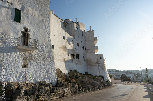 Ostuni cityscape © olexmelnyk