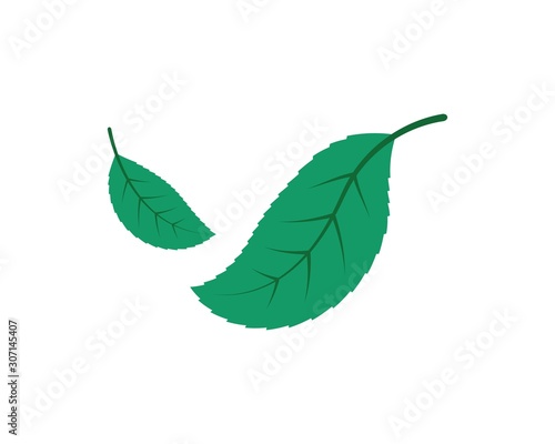 green leaf ecology nature element vector icon of go green