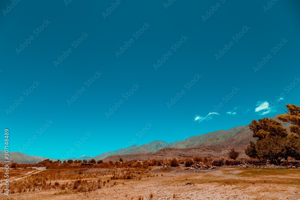 Desert and mountains landscape