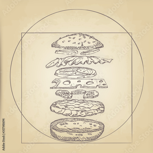 handmade pencil drawing hamburger disassembled. vintage stylization of the anatomy of a hamburger at the old yellowed parchment.