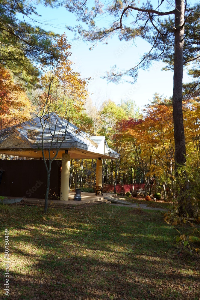 Autumn leaves in the garden of the wedding hall in Karuizawa