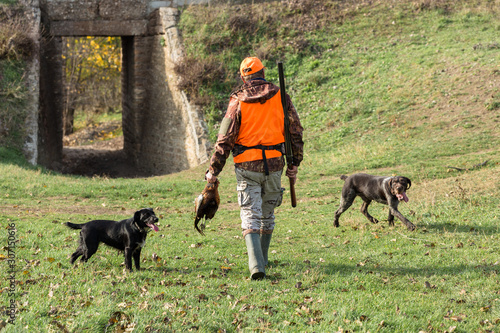 A man with a gun in his hands and an orange vest on a pheasant hunt in a wooded area in cloudy weather. A hunter with a pheasant in his hands.