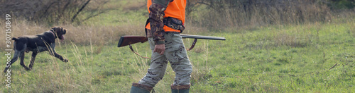 A man with a gun in his hands and an orange vest on a pheasant hunt in a wooded area in cloudy weather. Hunter with dogs in search of game.