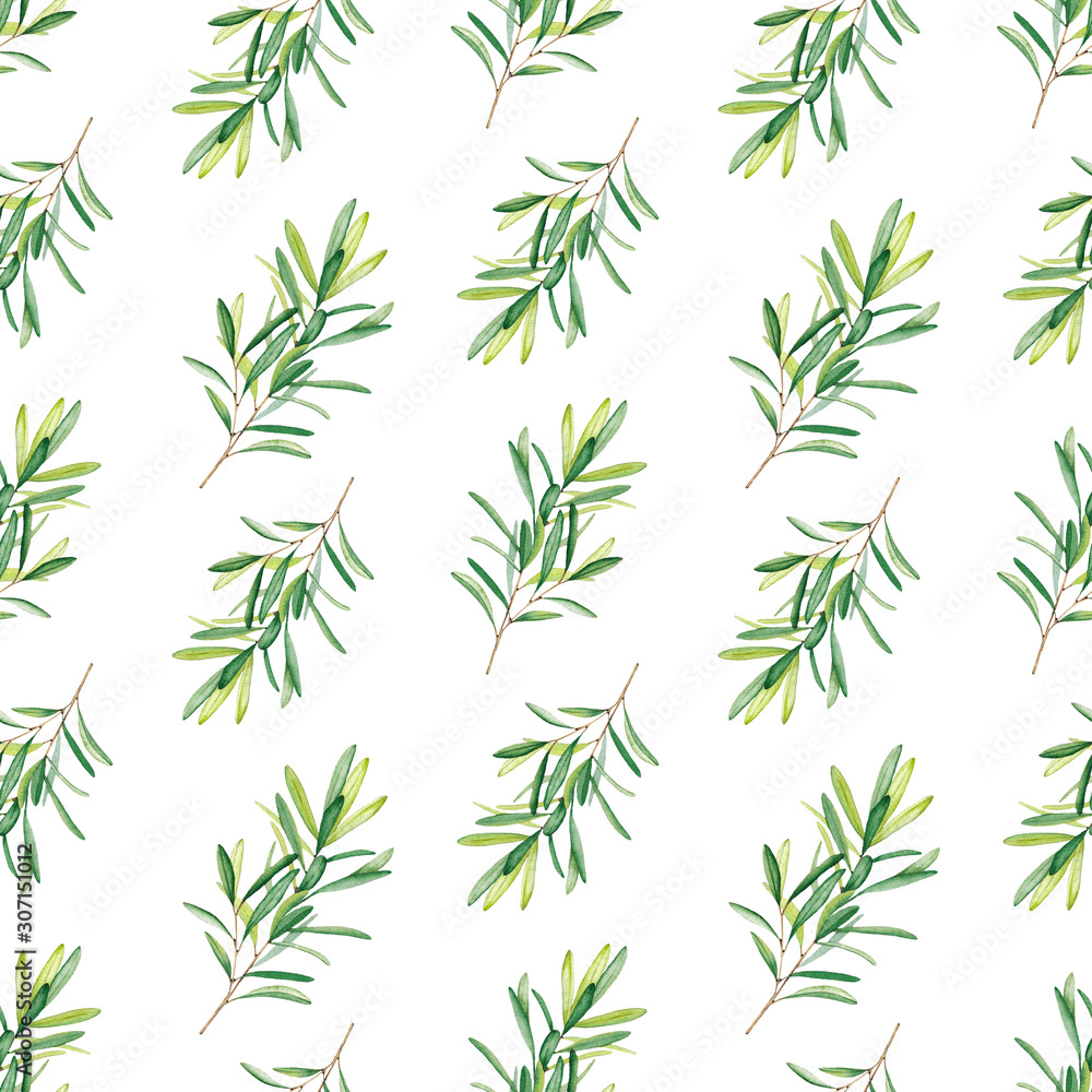 Seamless pattern of olive branches and leaves on white background. Watercolor illustration. Hand-drawn elements for eco-style design.