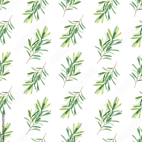 Fototapeta Naklejka Na Ścianę i Meble -  Seamless pattern of olive branches and leaves on white background. Watercolor illustration. Hand-drawn elements for eco-style design.