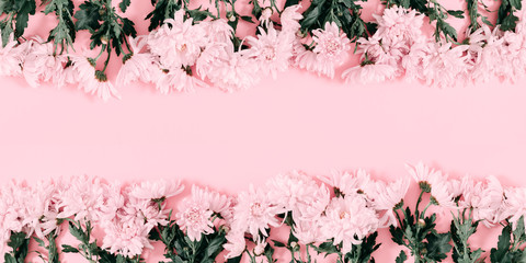 Beautiful flowers composition. Pink flowers on pink background. Valentines Day, Easter, Happy Women's Day, Mother's day. Flat lay, top view, copy space, banner