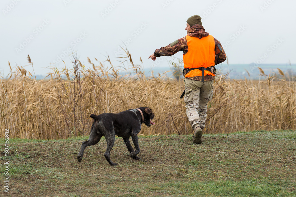 Hunting period, autumn season open. A hunter with a gun in his hands in hunting clothes in the autumn forest in search of a trophy. A man stands with weapons and hunting dogs tracking down the game. Hunting period, autumn season open. A hunter with a gun in his hands in hunting clothes in the autumn forest in search of a trophy. A man stands with weapons and hunting dogs tracking down the game.