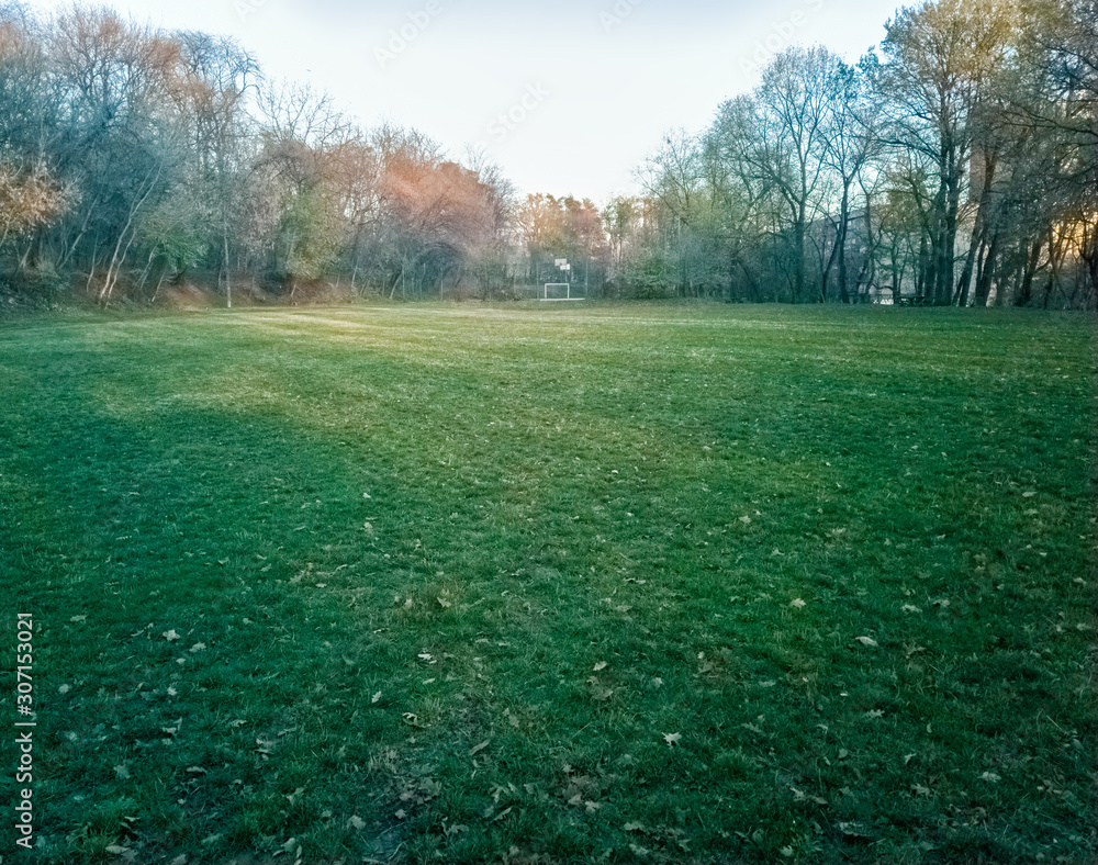 Fototapeta premium Sumice, Vozdovac, Belgrade, Serbia - november 29th, 2019: lawn in the park with the view on the sunset and sunlight, clouds on the sky and distant buildings through the autumn trees