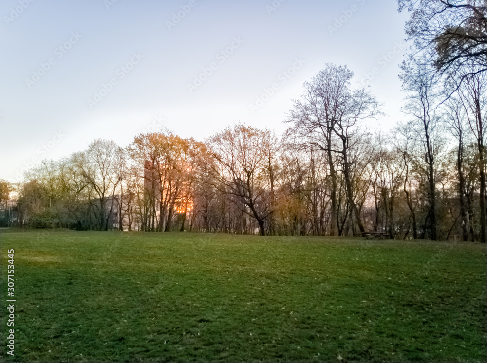 Sumice, Vozdovac, Belgrade, Serbia -  november 29th, 2019: lawn in the park with the view on the sunset and sunlight, clouds on the sky and distant buildings through the autumn trees